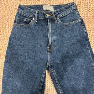 Everlane Curvy Cheeky Straight Jean in medium wash